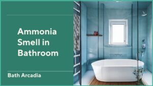 How to Get Rid of Ammonia Smell in Bathroom?
