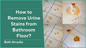 How to Remove Urine Stains from Bathroom Floor?