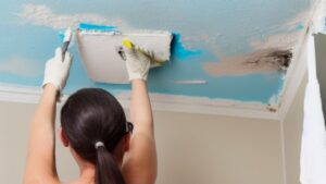 how to paint a bathroom ceiling with mold