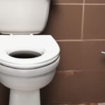 How To Clean Under Toilet Rim Stains, Rings, And Limescale