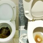 Tips for Handling and Preventing Toilet Overflows