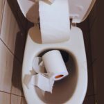 How to Unclog Toilet Filled With Toilet Paper