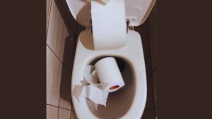 How to Unclog Toilet Filled With Toilet Paper
