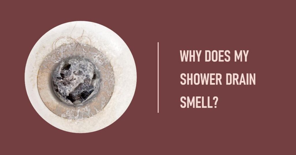 why does my shower drain smell