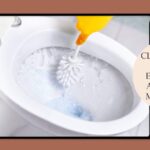 how to clean a bathroom toilet