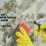 how to clean bathroom mold and mildew