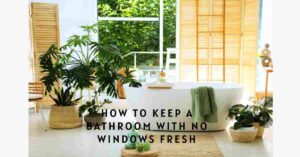 how to keep a bathroom with no windows fresh