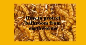 how to protect bathroom from earthworms