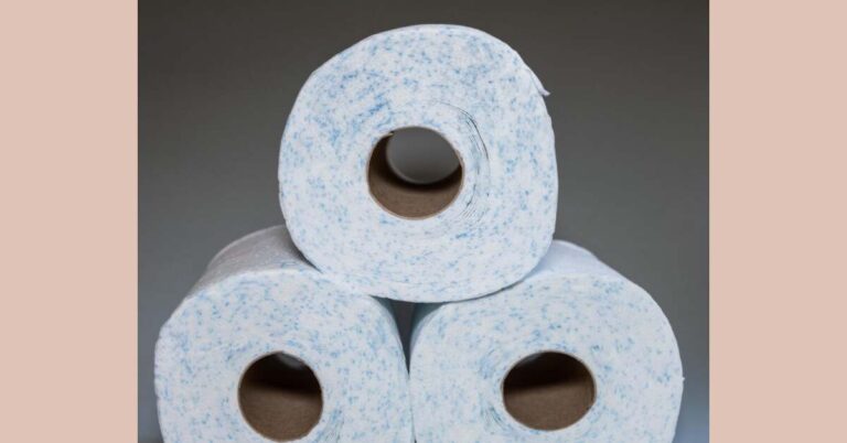 Read more about the article What Did People Use Before Toilet Paper?