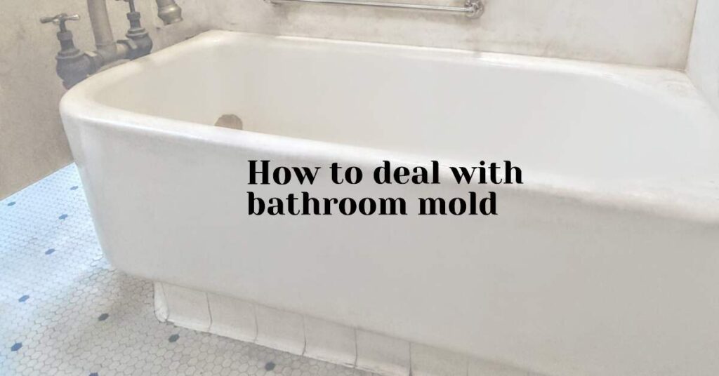 how to deal with bathroom mold