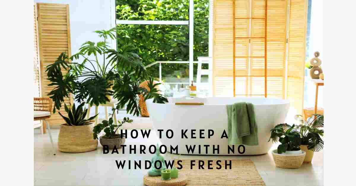 You are currently viewing A Comprehensive Guide to Keeping a Windowless Bathroom Fresh