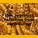 how to protect bathroom from earthworms
