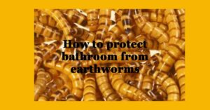 How to Protect Bathroom From Earthworms